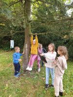 Fotografie 20231013-134210_original.jpg