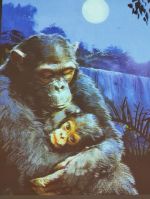 Fotografie 00_2_original.jpg