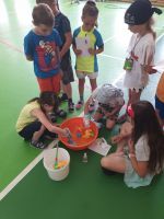 Fotografie 20240621-134311_original.jpg