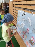 Fotografie 20240621-140947_original.jpg