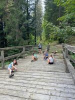 Fotografie obrazek-whatsapp-2024-09-08-v-171315-04a_original.jpg