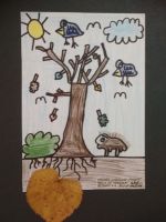 Fotografie img-20241104-wa0018_original.jpg