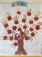 Fotografie 24_original.jpg