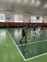 Fotografie img-9338_1_original.jpeg