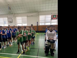 Obrázek k aktualitě Okrskové kolo ve florbalu mladších žáků