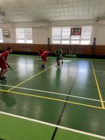 Fotografie img-9340_original.jpeg