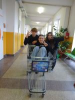 Fotografie img-20241114-wa0017_original.jpg