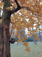 Fotografie 08_original.jpg