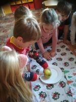 Fotografie 17_original.jpg