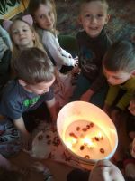 Fotografie 22_original.jpg