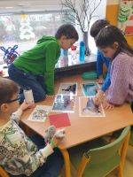 Fotografie 20250109-124658_original.jpg