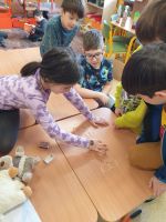 Fotografie 20250122-125706_original.jpg