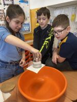 Fotografie img-2288_original.jpg