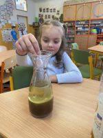 Fotografie img-2322_original.jpg