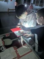 Fotografie img-20250318-wa0017_original.jpg