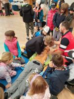 Fotografie 6478a733-600c-4ef9-b8a4-9ec4ca00f2e1_original.jpeg