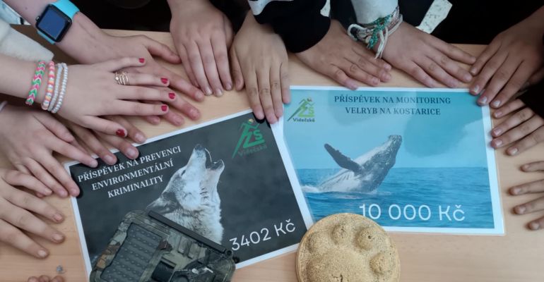 Nejbohatší ekosystémy planety Země 2025