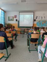 Fotografie 81ca965f-8043-4d7a-a9c0-e45ec2d16bca_original.jpg