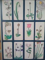 Fotografie be488c2f-352b-4d67-b719-19acc8ec76f2_original.jpeg