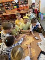 Fotografie img-3678_original.jpg