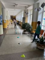 Fotografie img-3680_original.jpg