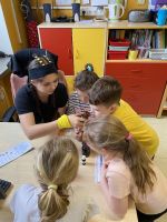 Fotografie img-3738_original.jpg