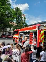 Fotografie 8debef5b-597f-4aec-bb09-811b3066b1b6_1_original.jpeg