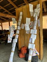 Fotografie adaptak-2025-268_original.jpg