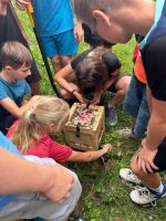 Fotografie adaptak-2025-281_original.jpg