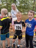 Fotografie 1000012601_original.jpg