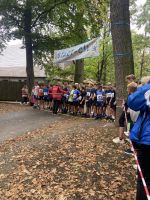 Fotografie img-0102_original.jpeg