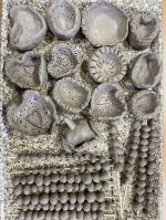 Fotografie 21_original.jpg