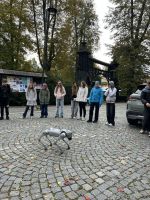 Fotografie img-8695_original.jpeg