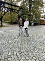 Fotografie img-8698_original.jpeg