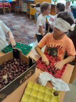 Fotografie 93c45241-8938-4a01-a688-22102e38c963_original.jpeg