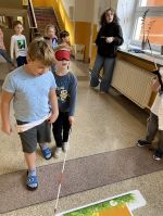 Fotografie img-5980_original.jpg