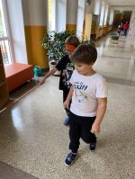 Fotografie img-6014_original.jpg