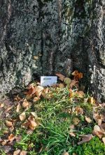 Fotografie uceni-pod-stromy-2025-24_original.jpg