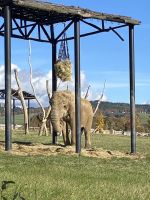 Fotografie 014_original.jpg