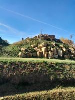 Fotografie 018_original.jpeg