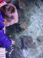 Fotografie 031_original.jpg