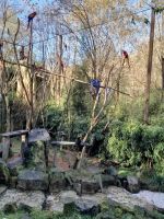 Fotografie 07_original.jpeg