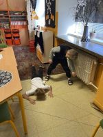 Fotografie img-6271_original.jpg