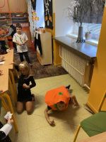 Fotografie img-6316_1_original.jpg