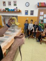 Fotografie img-6492_original.jpg