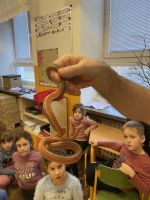 Fotografie img-6514_original.jpg