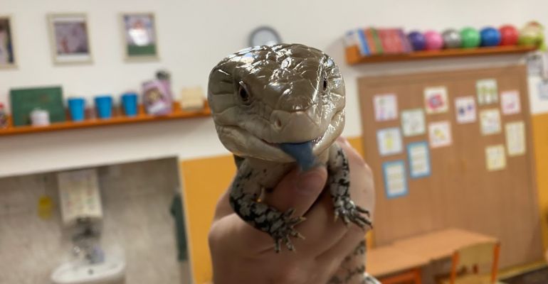 Nevšední zážitek ve školní družině