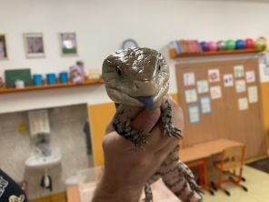 Obrázek k aktualitě Nevšední zážitek ve školní družině