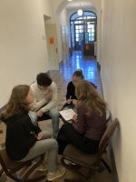 Fotografie img-8082_original.jpg