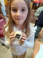 Fotografie 6e7edcb1-c1d8-495f-bb28-199642cfdcab_original.jpeg